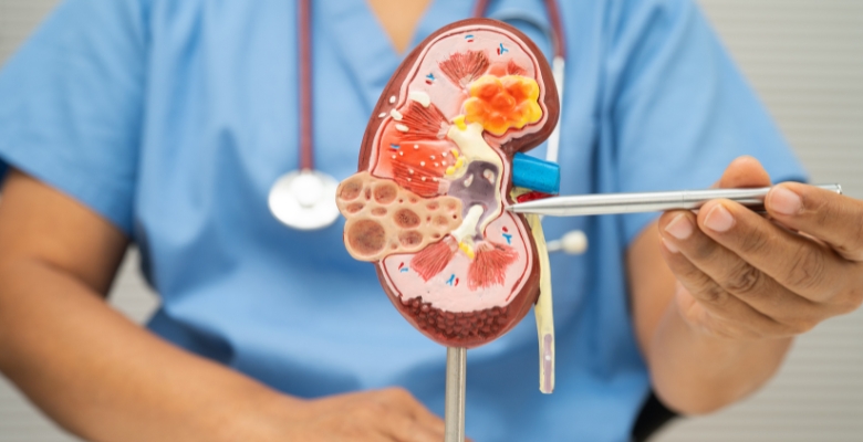 Bolsa de Investigação em Urologia recebe candidaturas até 21 de julho