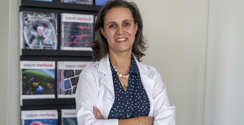 Neuro-Urologia do futuro: como a inteligência artificial e os organoides estão a revolucionar a investigação de lesões medulares