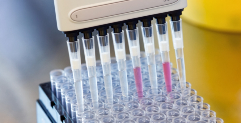 Biobanco internacional reúne 665 modelos tumorais e inclui cancro da próstata